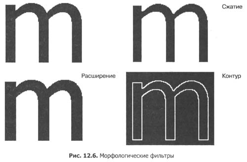 mf.jpg (19219 bytes)
